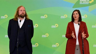 Grünen-Fraktionschefs bleiben kommissarisch im Amt