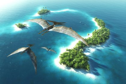 Erster Fund von 160 Millionen Jahre altem Flugsaurier in Chile bestätigt
