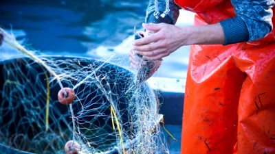 Erneuter Streit um Fischerei-Rechte zwischen Frankreich und Großbritannien