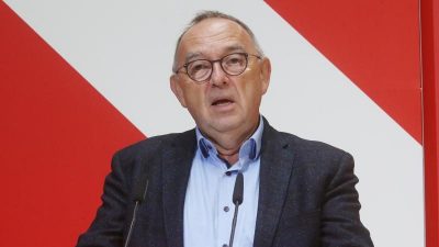 Koalitionsvertrag: SPD-Mitgliederbefragung möglich