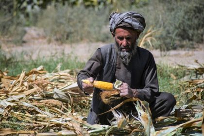 UNO: Jeder zweite Afghane von „akuter“ Nahrungsmittelknappheit betroffen