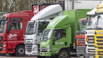 Lkw-Fahrer, Gemüse und Türsteher: Was den Briten alles fehlt