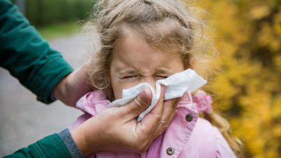 Grippe- und Erkältungswelle könnte bis zu 30 Milliarden Euro kosten