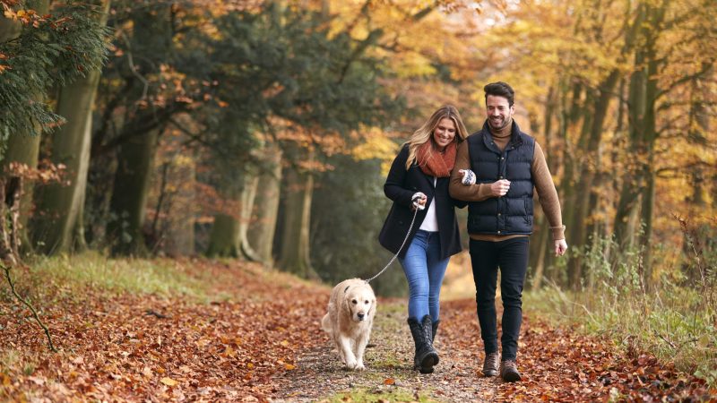 Ein glückliches Paar. Foto: iStock