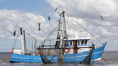 Deutschland trägt EU-Fangquotenbeschlüsse nicht mit