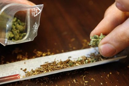 Cannabis-Legalisierung spaltet die Bürger – Reul warnt vor schweren Folgen