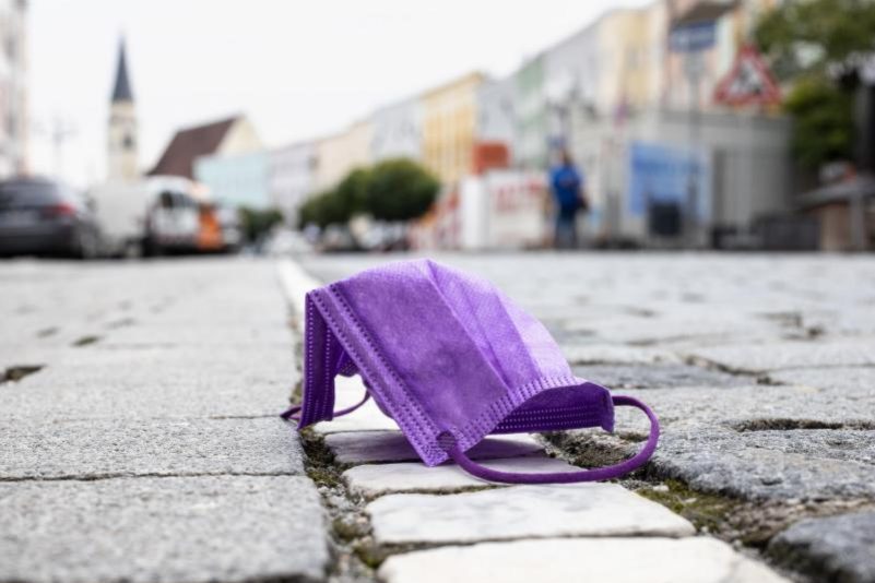 Titelbild