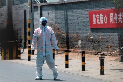 Chinesische Behörden töten äußerst brutal Hund von Familie in Quarantäne