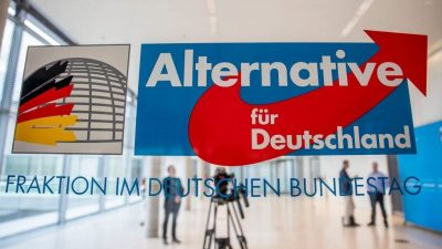 AfD-Fraktion klagt gegen verschärfte Corona-Regeln im Bundestag