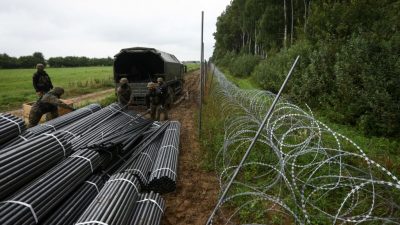 Polen stellt Zaun an der Grenze zu Belarus fertig