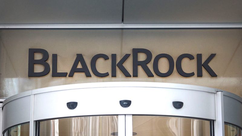 Konsumentenverein kritisiert BlackRock: „Woke in den USA – angepasst in China“