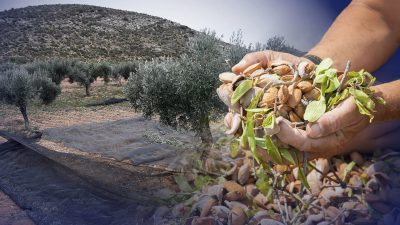 Spanische Landwirte erfolgreich auf natürlichem Weg zur Nachhaltigkeit
