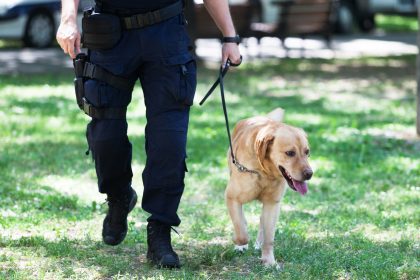 Drogenhandel: Polizei im Sauerland durchsucht 30 Wohnungen