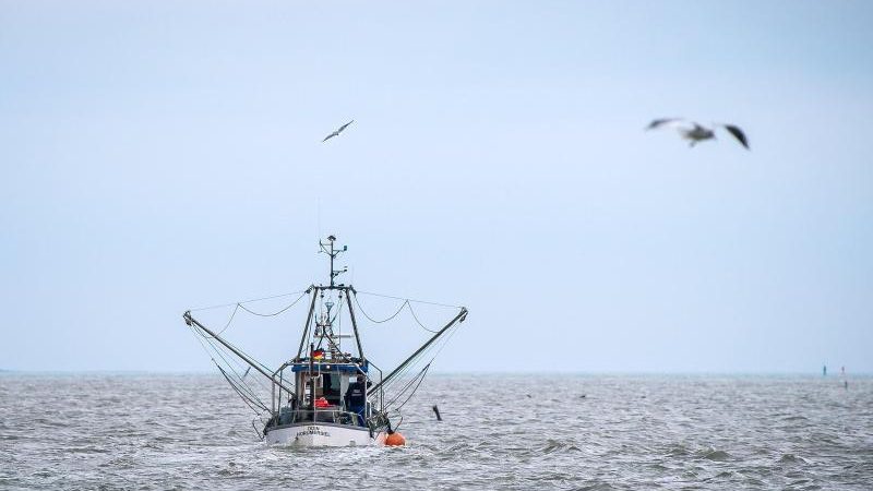 Hochseefischer fürchten Eskalation im Fangquoten-Streit