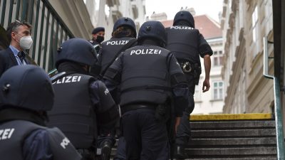 Österreich rüstet Polizei und ÖPNV für möglichen Blackout