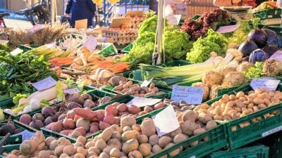 Erzeugerpreise für landwirtschaftliche Produkte im August wieder rückläufig