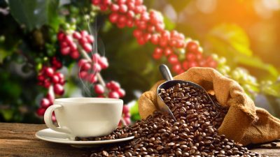 Preis für Kaffeebohnen hat sich seit 2020 verdoppelt