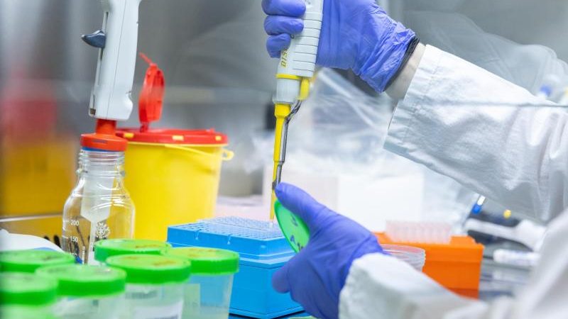 Labore kommen an ihre Grenzen – PCR-Tests sparsam verwenden