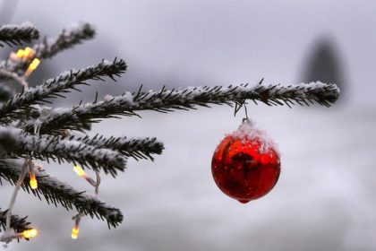 Esel, Engel, Tannenbaum: ein Weihnachts-ABC