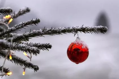 Esel, Engel, Tannenbaum: ein Weihnachts-ABC