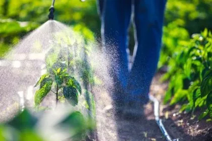 Bayer-Konzern auch in Deutschland juristisch unter Druck