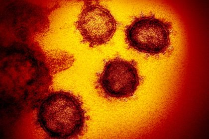Omikron, und dann? Forscher spekulieren über neue Mutanten