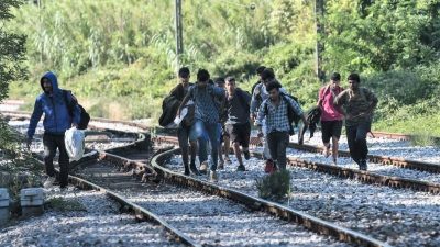 „Ampel will mehr reguläre Migration“ – FDP für schnelle Reform der Asylklageverfahren