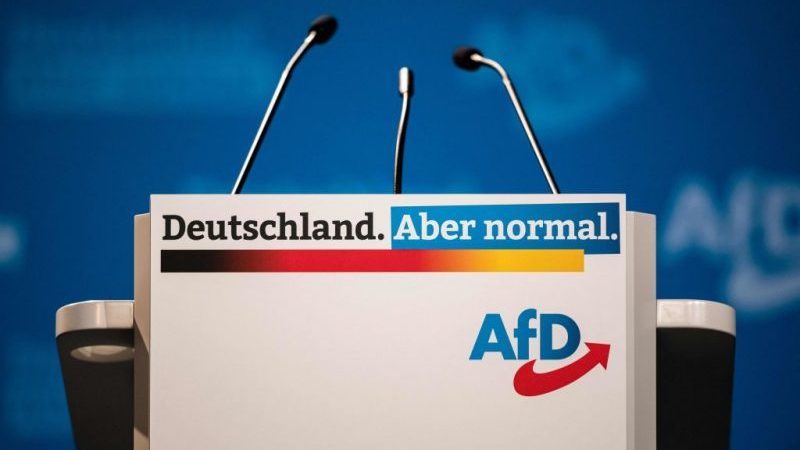 AfD-Abgeordneter Lucassen: Wahlergebnis in Schleswig-Holstein „kein Beinbruch“