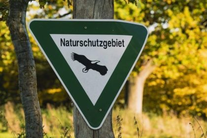 Kritik an Windrädern: „Man steht im Wald und fühlt, dass es falsch ist“