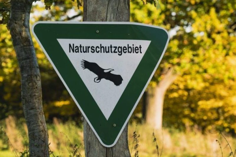Titelbild
