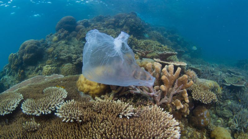 Plastikmüll - das Problem unserer Zeit