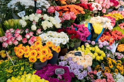 Muttertag: Ursprung in den USA – und von großer Bedeutung für den Blumenhandel