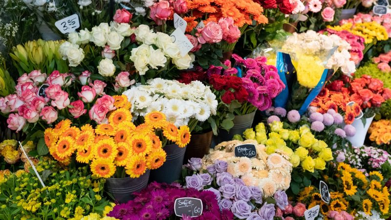 Schnittblumen in einem Blumenladen. Der Blumenstrauß zum Valentinstag wird in diesem Jahr deutlich teurer.