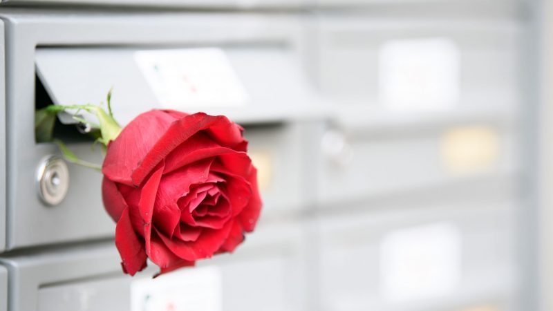 Eine rote Rose zum Valentinstag? Kann sein, muss aber nicht sein. Paare können sich Liebe ganz unterschiedlich zeigen.