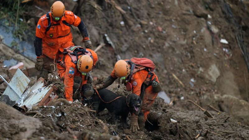 Rettungskräfte suchen im brasilianischen Petropolis mit einem Spürhund nach den Opfern eines Erdrutsches.