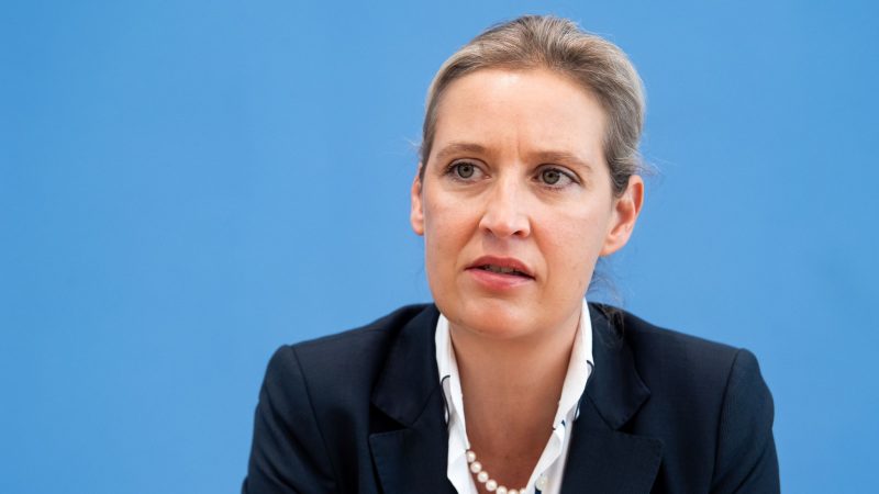 Alice Weidel ist Vorsitzende der AfD-Bundestagsfraktion.