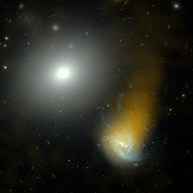 Die "Jellyfish-Galaxy" NGC 4858 ist eine der 4,4 Millionen kartierten Galaxien