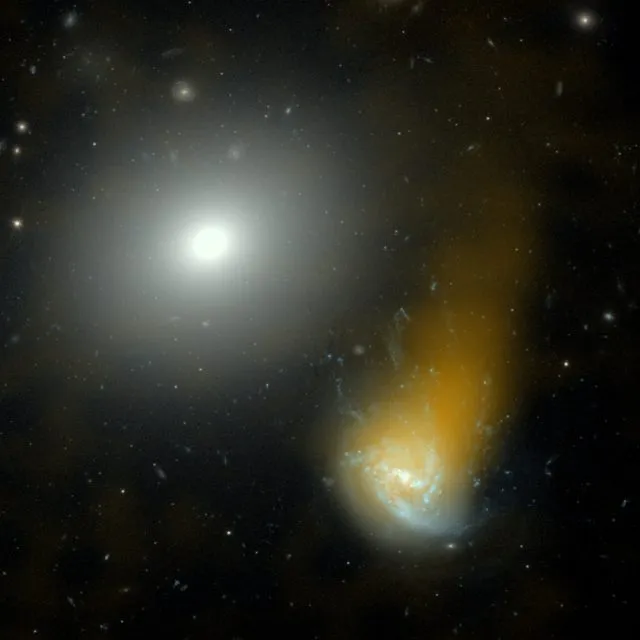 Die &quot;Jellyfish-Galaxy&quot; NGC 4858 ist eine der 4,4 Millionen kartierten Galaxien