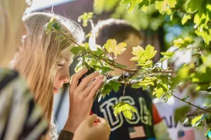 USA: Mikroschulen immer beliebter