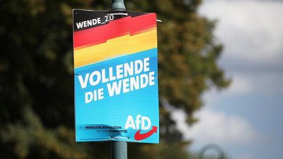 Verfassungsschutz in Sachsen-Anhalt darf AfD beobachten