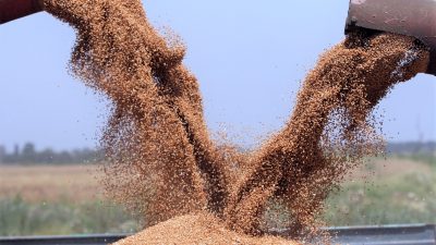 Russland beschränkt Getreideexporte