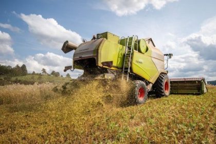 Maismangel könnte deutsches Tierfutter-Problem bewirken