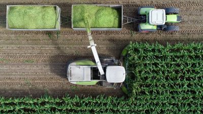 Alex Newman: Warum die UNO die Landwirtschaft kontrollieren will