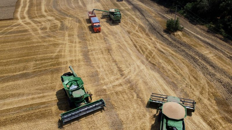 Ein Stopp der Weizenexporte aus Russland und der Ukraine führe in vielen Schwellen- und Entwicklungsländern zu Engpässen.