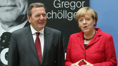 Kubicki stellt Büros für Merkel und Schröder in Frage