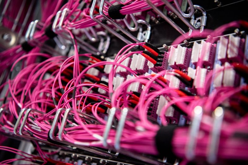 Glasfaserkabel in einem Netzwerk-Switch. In Kanada verlinkte ein Ministerium auf eine nicht ganz jugendfreie Seite.