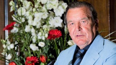 Altkanzler Schröder wird Opfer eines Kunstdiebstahls