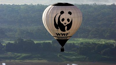 WWF: EU ist teurer Supermarkt statt Kornkammer der Welt