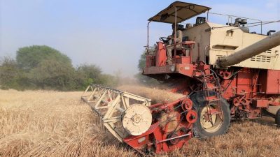 Der dringend benötigte Weizen aus der Ukraine droht zu verrotten