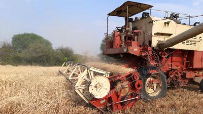 Indien verbietet Weizenexporte